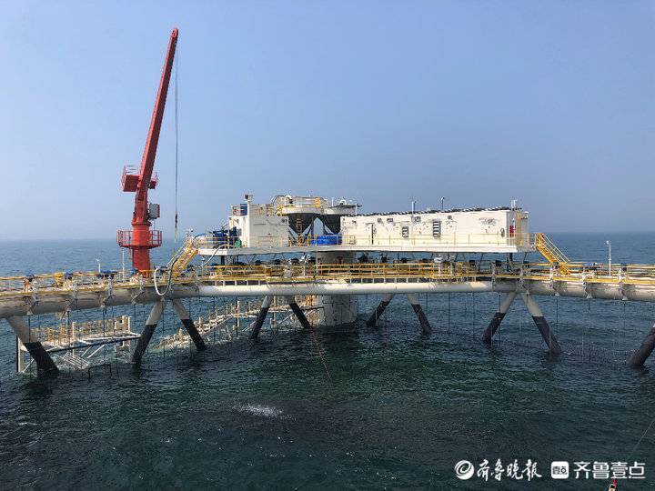 挺進深海，唱響“經海”牧歌！煙臺開啟向海圖強新征程