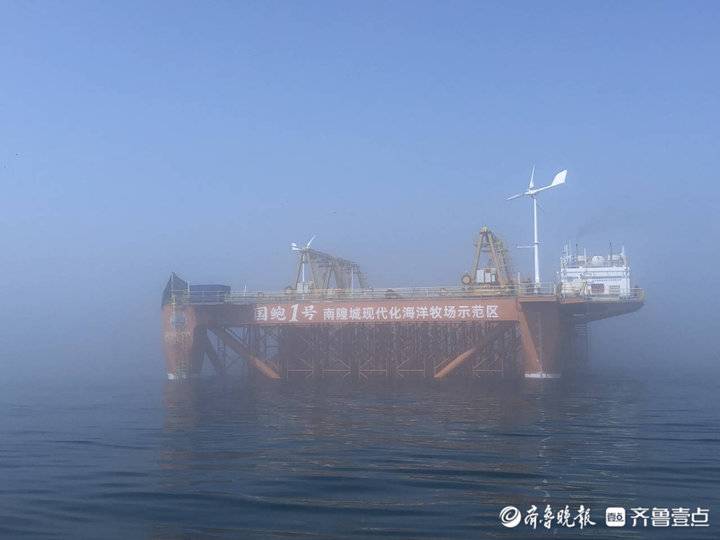 海參鮑魚真饞人！壹粉登上“國鮑1號”觀賞南隍城海珍品