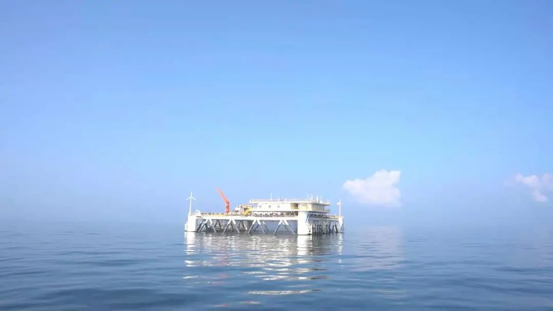 只待冬捕！經海“有魚初長成”