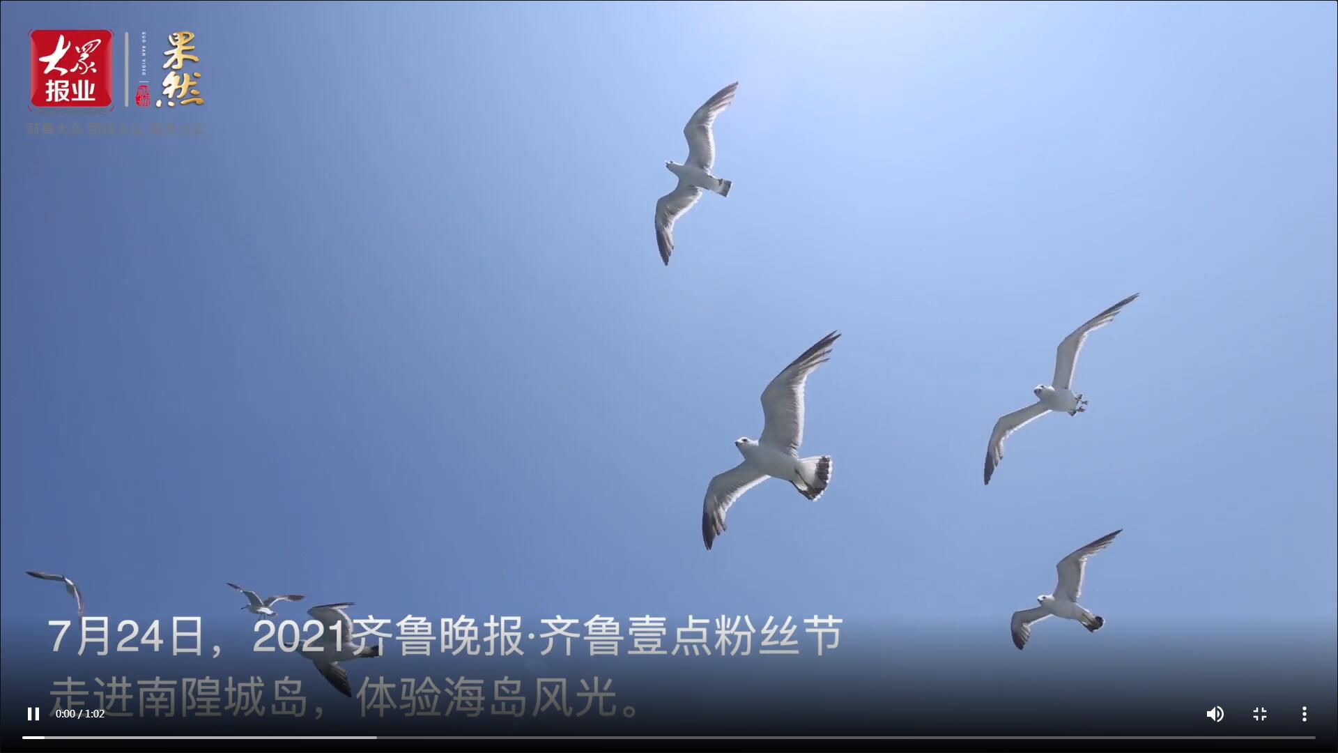 果然視頻|百名壹粉登上南隍城島，開啟海島之旅